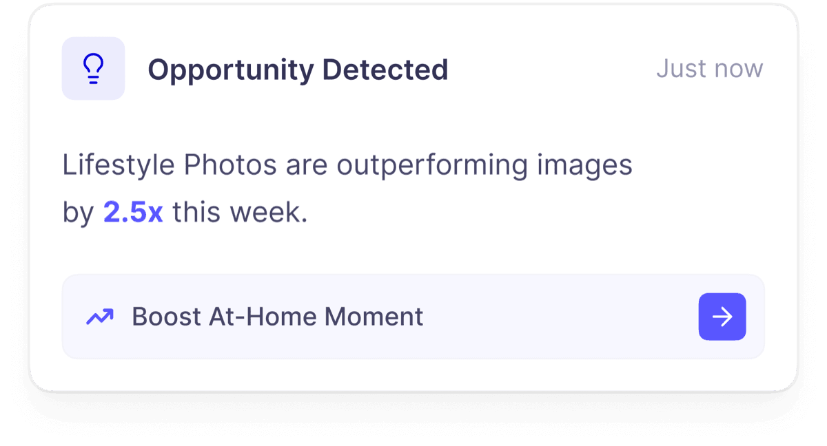 Connily detecting that lifestyle photos are outperforming and suggesting a boost
